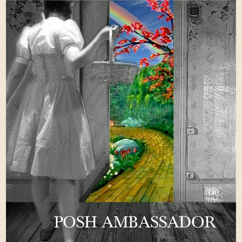 POSH AMBASSADOR
